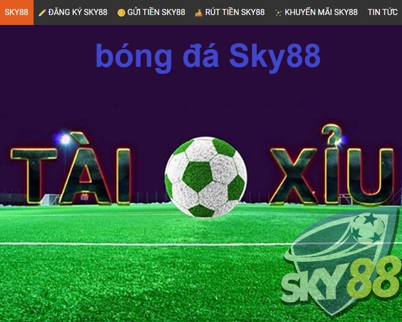 Kèo Tài Xỉu bóng đá Sky88